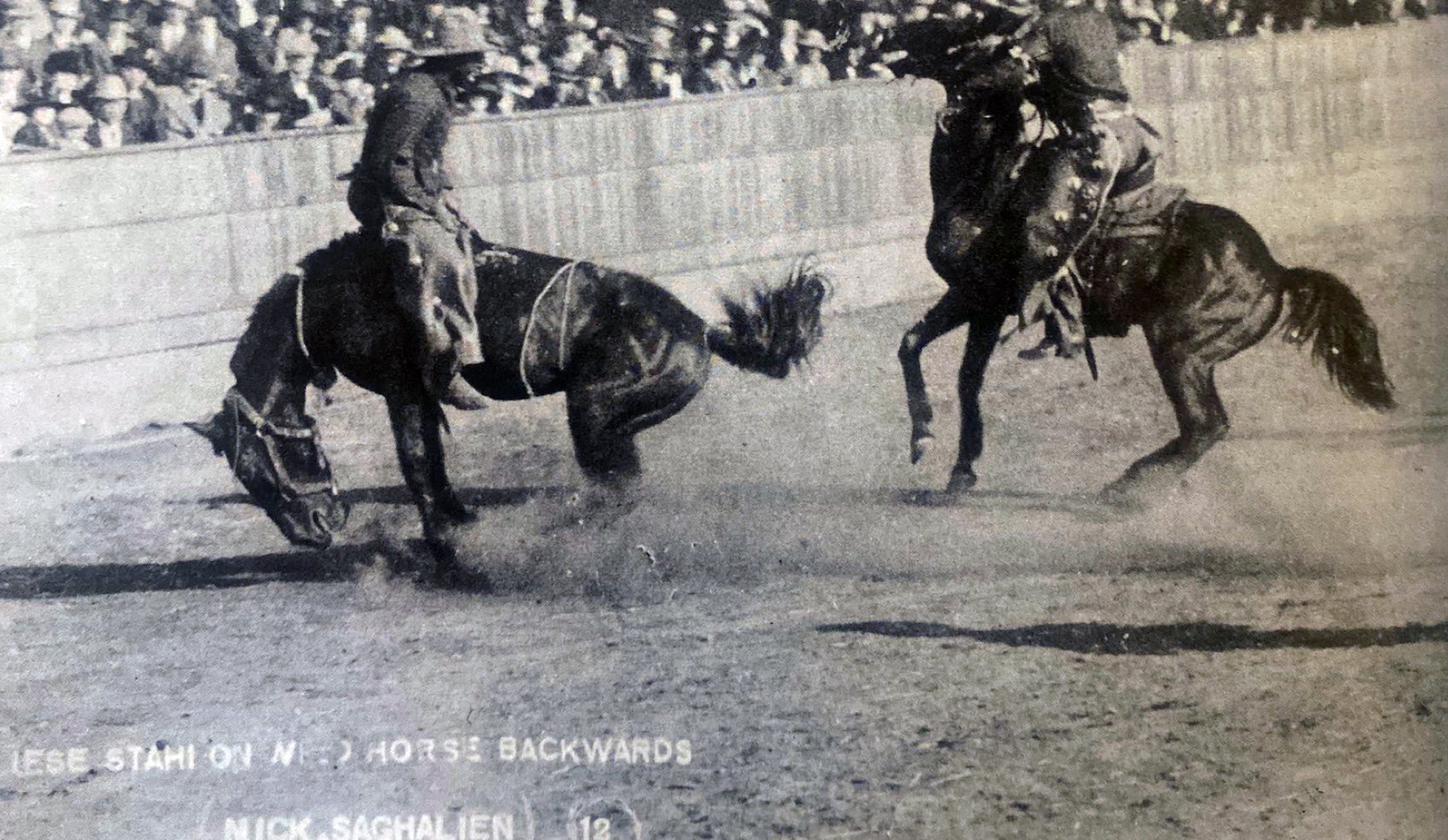 Jesse Stahl Riding Backwards on a Horse